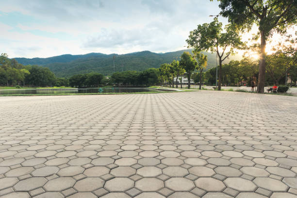 Best Driveway Paver Sealing  in Guttenberg, NJ